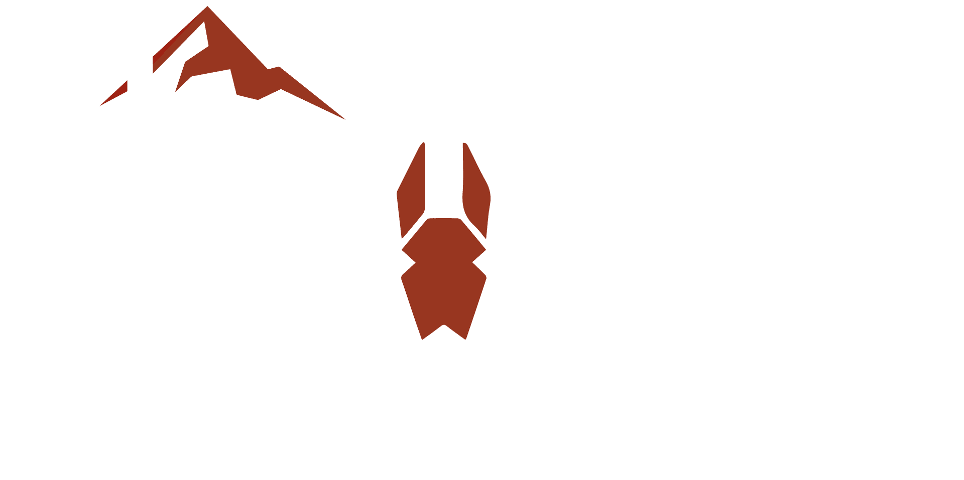 Mini Burros Hard Enduro Burros