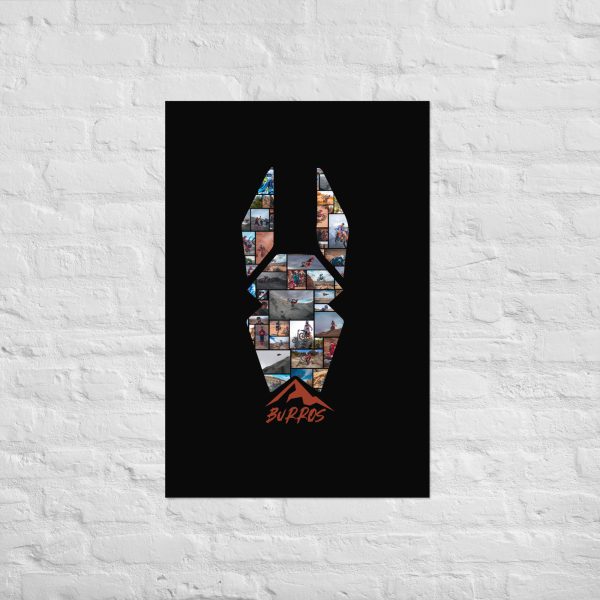 Premium Burros Collage Head Poster